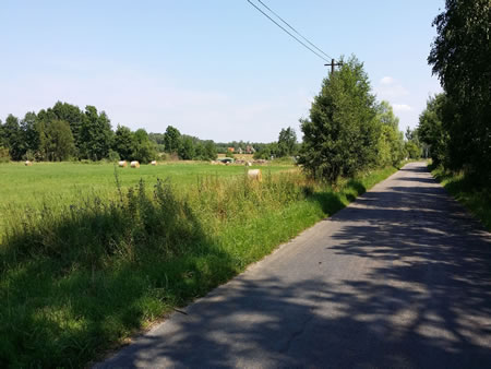 Działka nr 197 w Tatyni