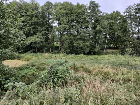 Działka nr 197 w Tatyni