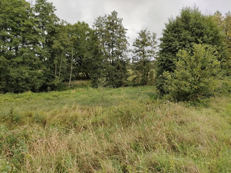 Działka nr 197 w Tatyni