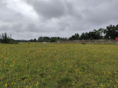Działka nr 197 w Tatyni