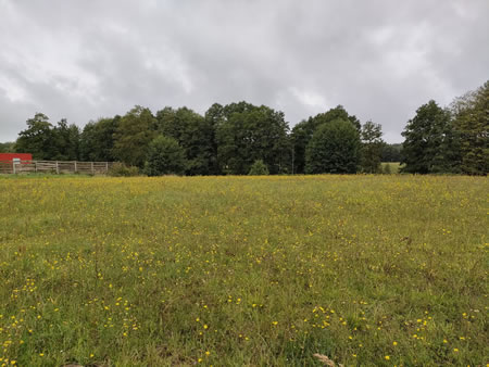 Działka nr 197 w Tatyni